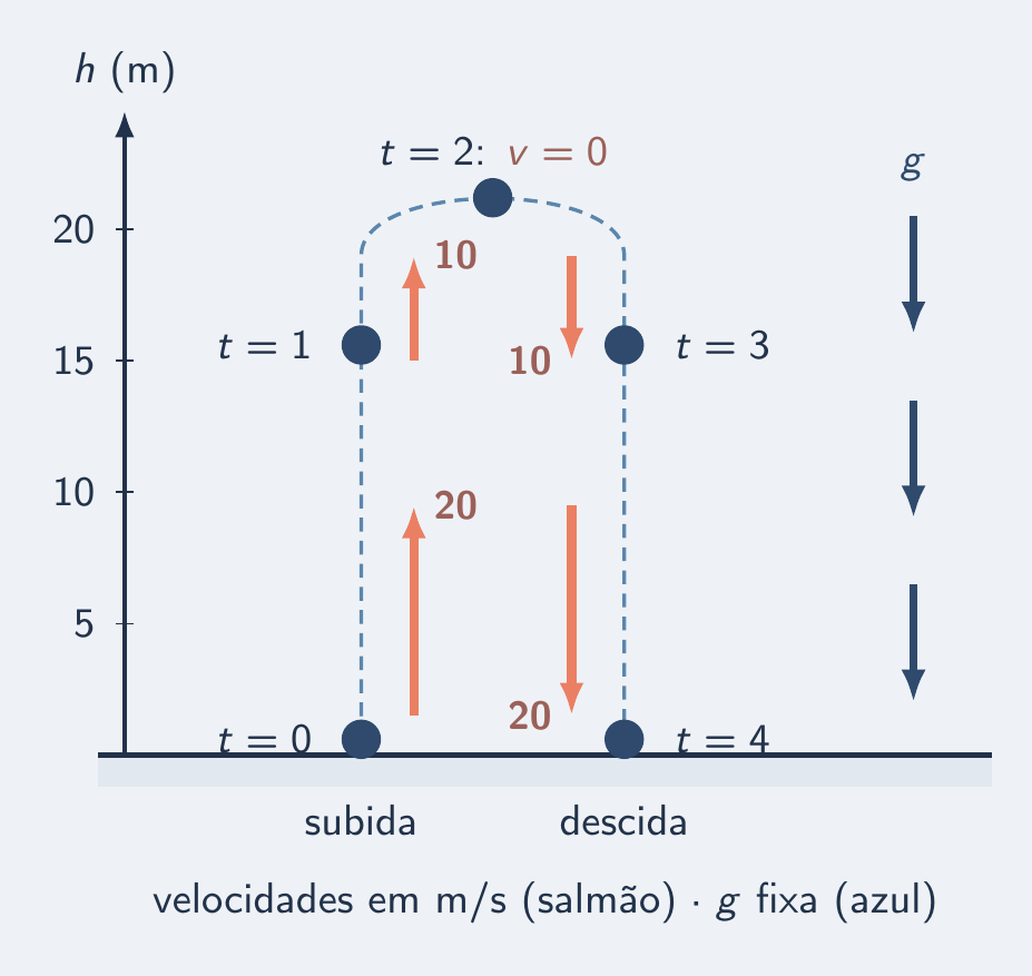 Bola subindo e descendo com seta de g sempre igual
