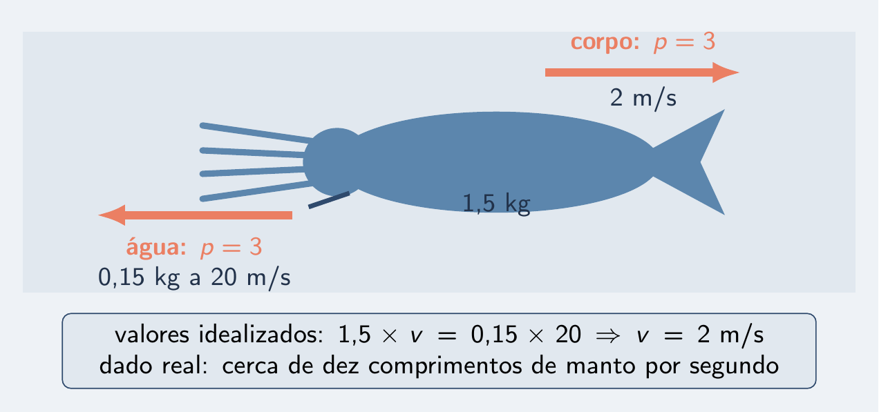 Calamar lançando jato de água para trás e indo para a frente