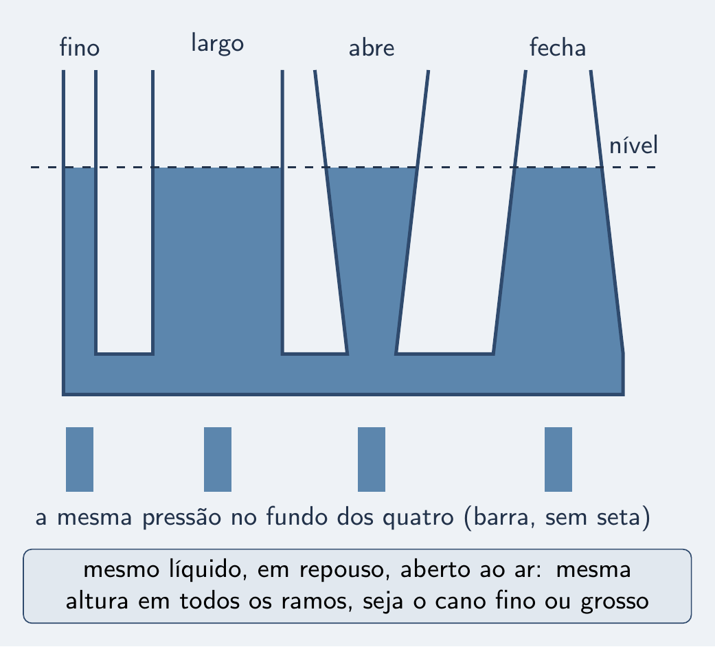 Ramos de formatos variados, água no mesmo nível