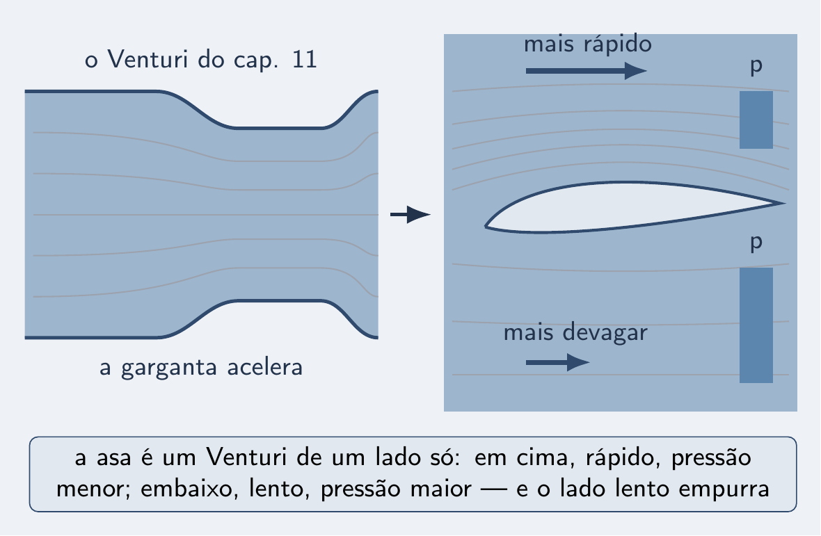 Do tubo de Venturi ao dorso curvo da asa