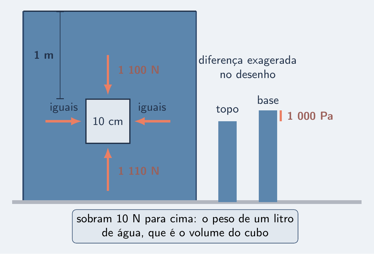 Cubo na água: laterais se anulam, face de baixo empurra mais