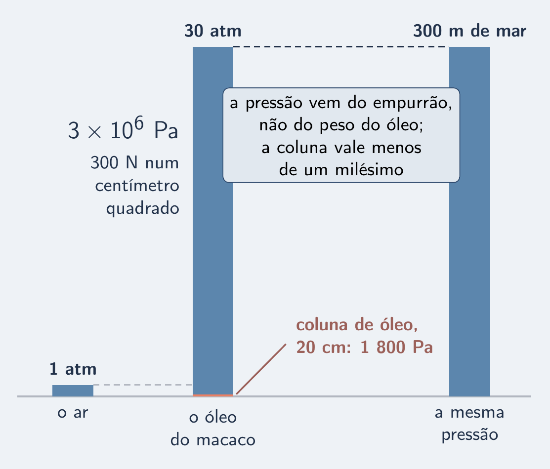 Barras de 1 atm, 30 atm no óleo e 300 m de mar