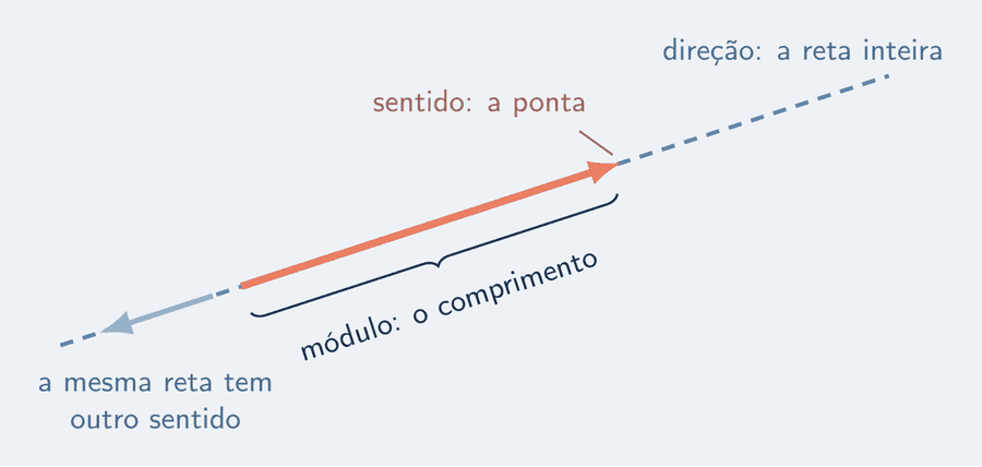 Uma seta salmão sobre uma reta tracejada que se estende pelos dois lados. Uma chave marca o comprimento, "módulo"; um rótulo aponta a ponta, "sentido"; outro rótulo indica a reta tracejada inteira, "direção". No extremo oposto da reta, uma ponta apagada lembra que a mesma reta tem o outro sentido.