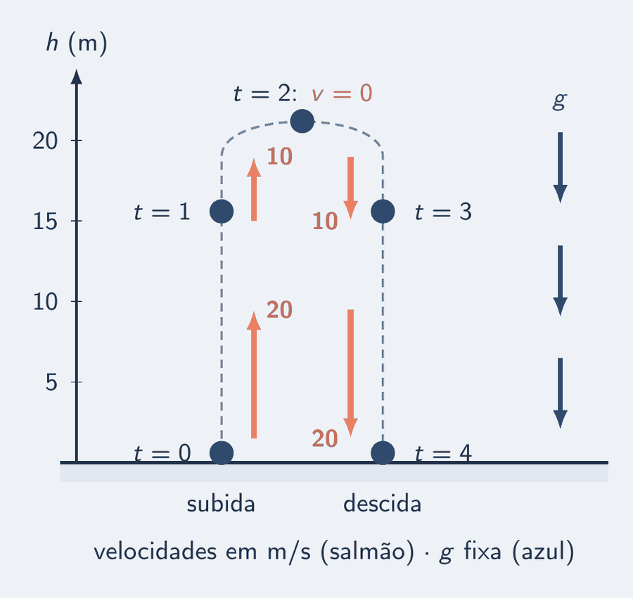 Uma trajetória vertical desenhada com a subida à esquerda e a descida à direita, para não sobrepor as posições. A bola aparece em t igual a 0, 1, 2, 3 e 4 s, nas alturas 0, 15, 20, 15 e 0 m. As setas salmão de velocidade apontam para cima e encolhem na subida — 20, 10 e zero no topo — e apontam para baixo e crescem na descida, 10 e 20 m/s. Ao lado de cada posição, a mesma seta azul de g, para baixo, sempre do mesmo tamanho.