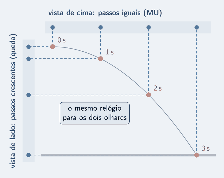 Uma trajetória curva desce da esquerda para a direita, com a posição marcada a cada segundo. Linhas tracejadas sobem de cada posição até uma faixa horizontal no alto, "vista de cima", onde as marcas ficam igualmente espaçadas: passos iguais, MU. Outras linhas tracejadas vão de cada posição até uma faixa vertical à esquerda, "vista de lado", onde as marcas se afastam cada vez mais: passos crescentes, queda. Um cartão lembra que o relógio é o mesmo para os dois olhares.