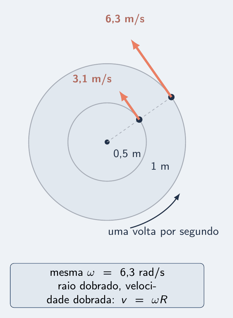 Um disco girando, visto de cima, com dois pontos marcados: um a 0,5 m do centro e outro na borda, a 1 m. De cada ponto sai uma seta salmão tangente à circunferência, a da borda com o dobro do comprimento. Cartão: mesma velocidade angular, 6,3 rad/s; velocidades lineares 3,1 m/s e 6,3 m/s. As trajetórias circulares estão em linha fina.