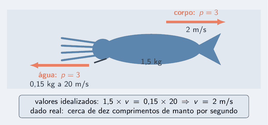 Um calamar em silhueta simples, com o manto à direita e os tentáculos à esquerda, nadando para a direita. Do sifão sai um jato de água para a esquerda, com a seta da quantidade de movimento da água de 3 quilogramas metro por segundo apontando para trás; o corpo tem uma seta de 3 apontando para a frente. Um cartão traz os valores idealizados: corpo de 1,5 kg, 0,15 kg de água a 20 metros por segundo, corpo a 2 metros por segundo.