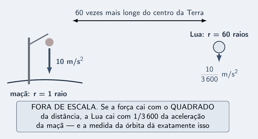 Uma maçã pendurada num galho, à esquerda, com uma seta azul apontando para baixo: 10 m/s². À direita, bem longe, a Lua, com uma seta azul muito menor apontando para a Terra, no pé da figura. Uma cota entre as duas diz: a Lua está 60 vezes mais longe do centro da Terra do que a maçã. Um cartão diz: se a força cai com o quadrado da distância, a Lua cai com um três mil e seiscentos avos da aceleração da maçã; a medida da órbita dá exatamente isso.