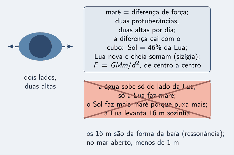 À esquerda, a Terra envolta por um envelope de água alongado, com duas setas tracejadas saindo dos dois lados: dois lados, duas altas. Ao lado, um cartão correto: maré igual a diferença de força; duas protuberâncias, duas altas por dia; a diferença cai com o cubo, o Sol faz 46% da maré da Lua; Lua nova e cheia somam, sizígia; F igual a G M m sobre d ao quadrado, de centro a centro. Riscado com um X, o cartão errado: a água sobe só do lado da Lua; só a Lua faz maré; o Sol faz mais maré porque puxa mais; a Lua levanta 16 m sozinha. Abaixo: os 16 m são da forma da baía, ressonância; no mar aberto, menos de 1 m.