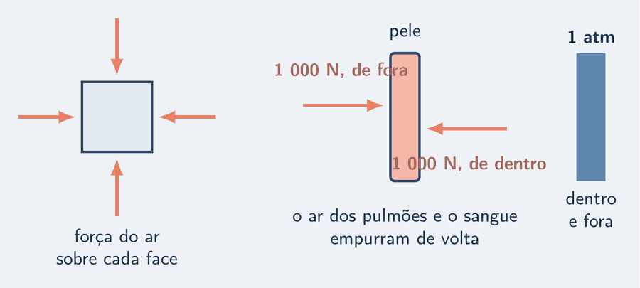 Um bloco pequeno no centro, com setas salmão do mesmo tamanho apontando para ele por todos os lados: de cima, de baixo, da esquerda e da direita, rotuladas força do ar sobre cada face. Ao lado, uma palma de mão desenhada como um retângulo, com uma seta para dentro, 1 000 N, de fora, e outra igual para fora, 1 000 N, de dentro; um cartão diz: o ar de dentro e o sangue empurram de volta com o mesmo. Uma barra de pressão azul-céu ao lado, 1 atm, a mesma dentro e fora.