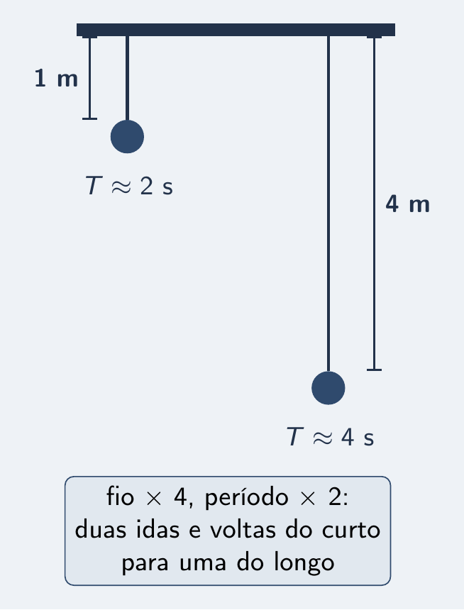 Fios de 1 m e 4 m em escala: duas idas e voltas do curto para uma do longo
