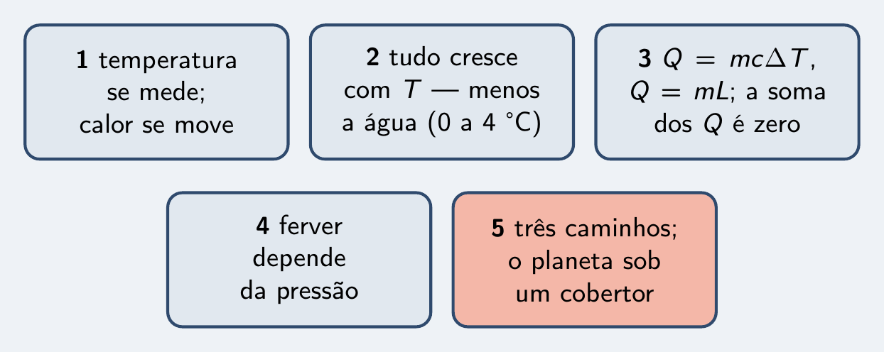 As cinco ideias da temporada