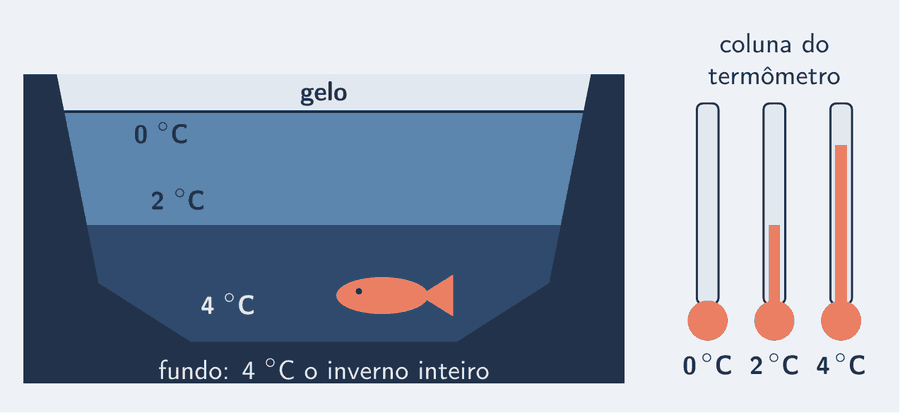 Corte de um lago no inverno: uma camada de gelo na superfície, a água em camadas de 0 °C logo abaixo do gelo até 4 °C no fundo, um peixe junto ao fundo e, ao lado, três termômetros com a coluna do líquido a 0, 2 e 4 °C.