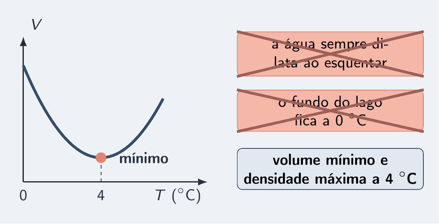 À esquerda, o gráfico do volume da água contra a temperatura, com o mínimo em 4 °C destacado. À direita, três cartões: dois riscados com um X, "a água sempre dilata ao esquentar" e "o fundo do lago fica a 0 °C", e um cartão certo, "volume mínimo e densidade máxima a 4 °C".